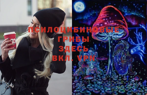 первитин Каменногорск