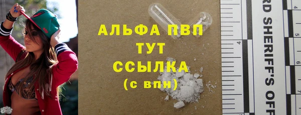 стаф Инта