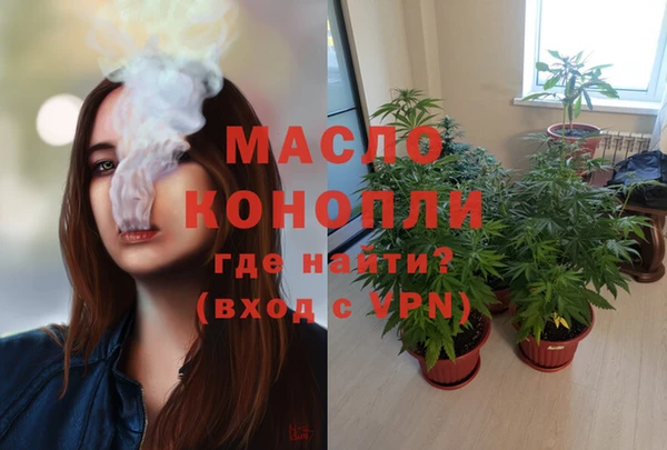 стаф Инта