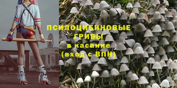 героин Каменка
