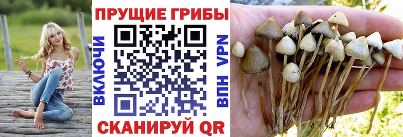 гидра онион  Кольчугино  Галлюциногенные грибы Magic Shrooms 