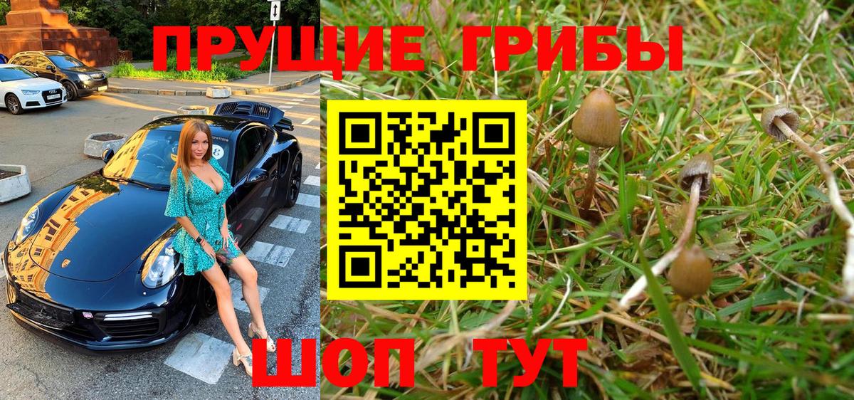 Галлюциногенные грибы мицелий  Галлюциногенные грибы Magic Shrooms  Вход с VPN  Кольчугино 